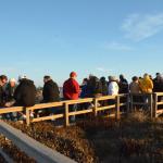 Cambria_0058 (November 02, 2013)